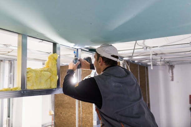 Types of Insulation We Offer in Placerville, CA