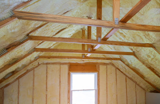 Best Eco-Friendly Insulation in Placerville, CA