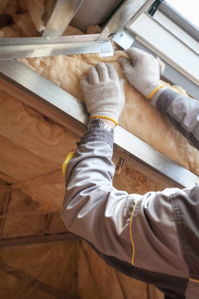 Best Energy Efficiency Insulation in Placerville, CA