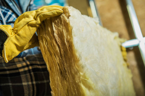 Best Spray Foam Insulation in Placerville, CA